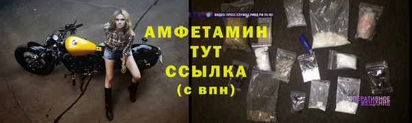 винт Абаза